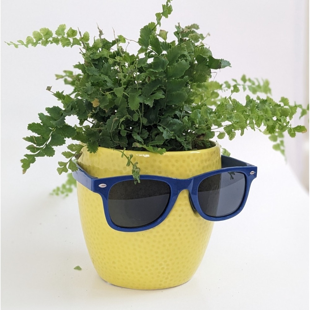 Trader Joes Cool Fruit Ceramic Novelty Planter Lime Sunglasses PLANT NOT INCLUD